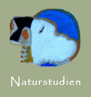 Zu den Naturstudien